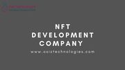 A well standared NFT Development Company 