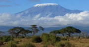 Best Kenya Safari Holiday Prices