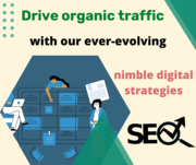 Drive organic traffic with our ever-evolving nimble digital strategies