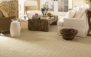 carpet cleaning services