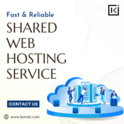 High Performance Shared Web Hosting in UK