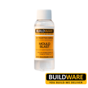 Best Anti Mould Paint