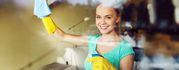 House Cleaning,  Domestic Spring Cleaning