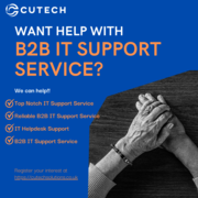 Comprehensive B2B IT Support Services