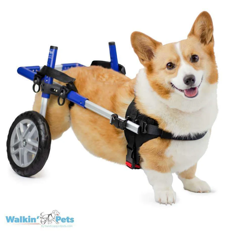 Dog Wheelchairs UK