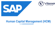 SAP HCM  Online Training Institute From India - VISWA Online Trainings