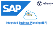 SAP IBP Online Training By VISWA Online Trainings From Hyderabad India