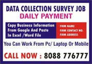 Part time Survey Jobs Daily Payments Work From 