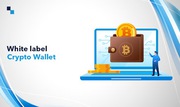 A White Label Crypto Wallet Platform Built for Tomorrow
