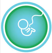 Recurrent Miscarriage Treatment