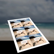 Packaging Printing Maidstone