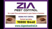 PEST Bugs Control | 25% Off for Residence and Office | Pest Control