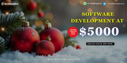 Holiday Software Development at $5000 – US Special!