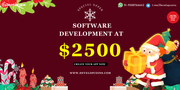 Custom Software Development for Startups –Web3,  DeFi & AI | Xmas Offer