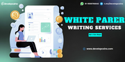 Professional Blockchain White Paper Writing Company -Developcoins
