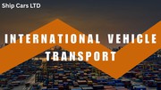  International Vehicle Transport
