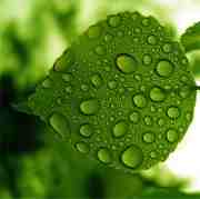 P&N Carpet and Upholstery Cleaning