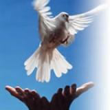 Change your Life TODAY