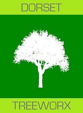 Dorchester & Weymouth Tree Surgeons & Hedge Services - Dorset Treeworx