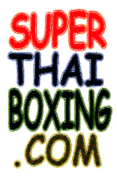 Muay Thai Kick Boxing  - Keep fit,  relieve stress,  have fun