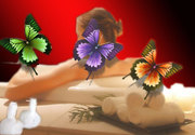 Butterfly Bangkok Massage 