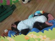 Cute and adorable chimpanzee for adoption