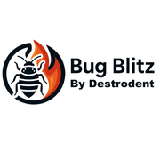 Rapid Chemical Free Bed Bug Control for Surrey Homes